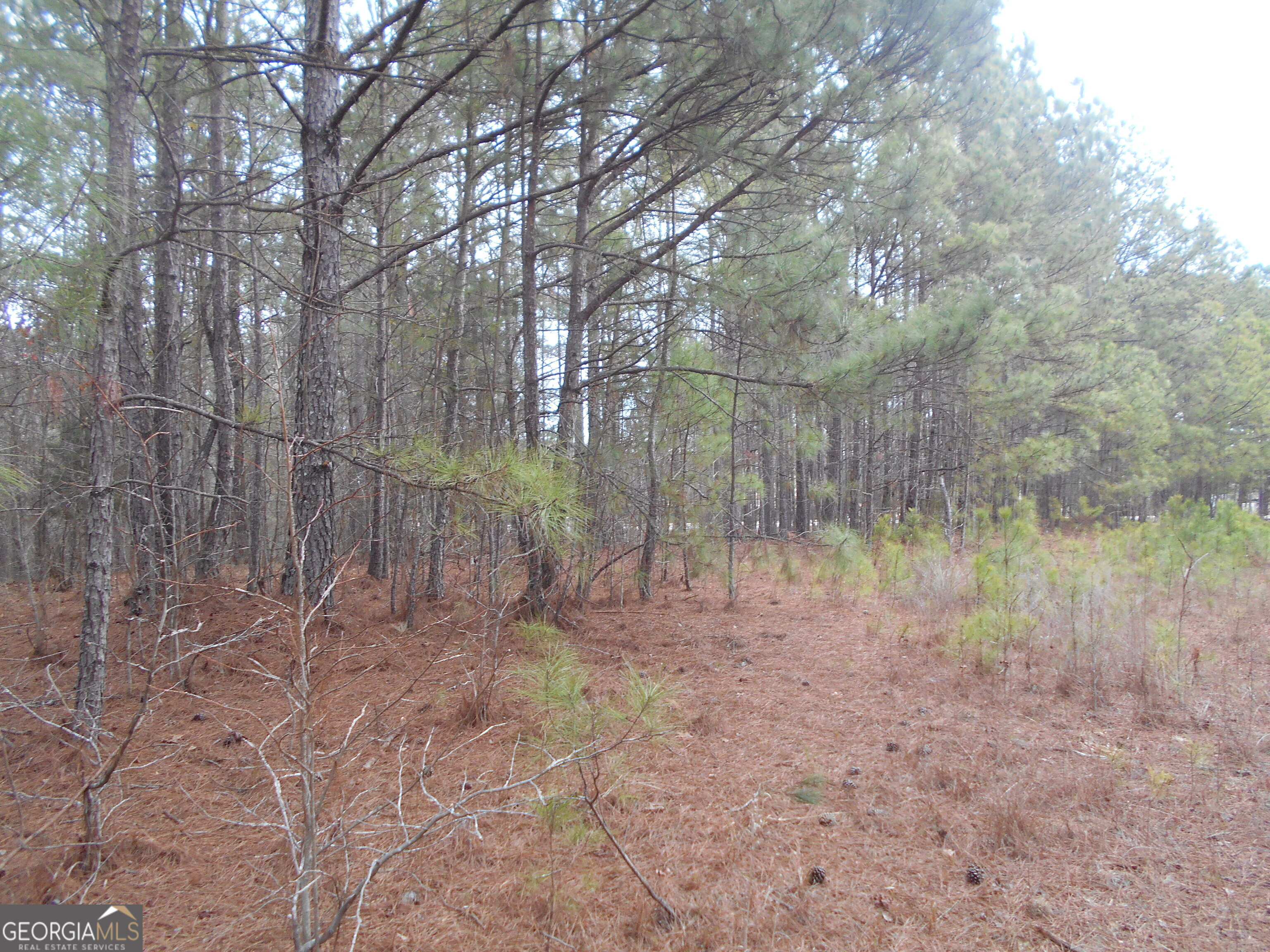46 AC South Sharon Church Road