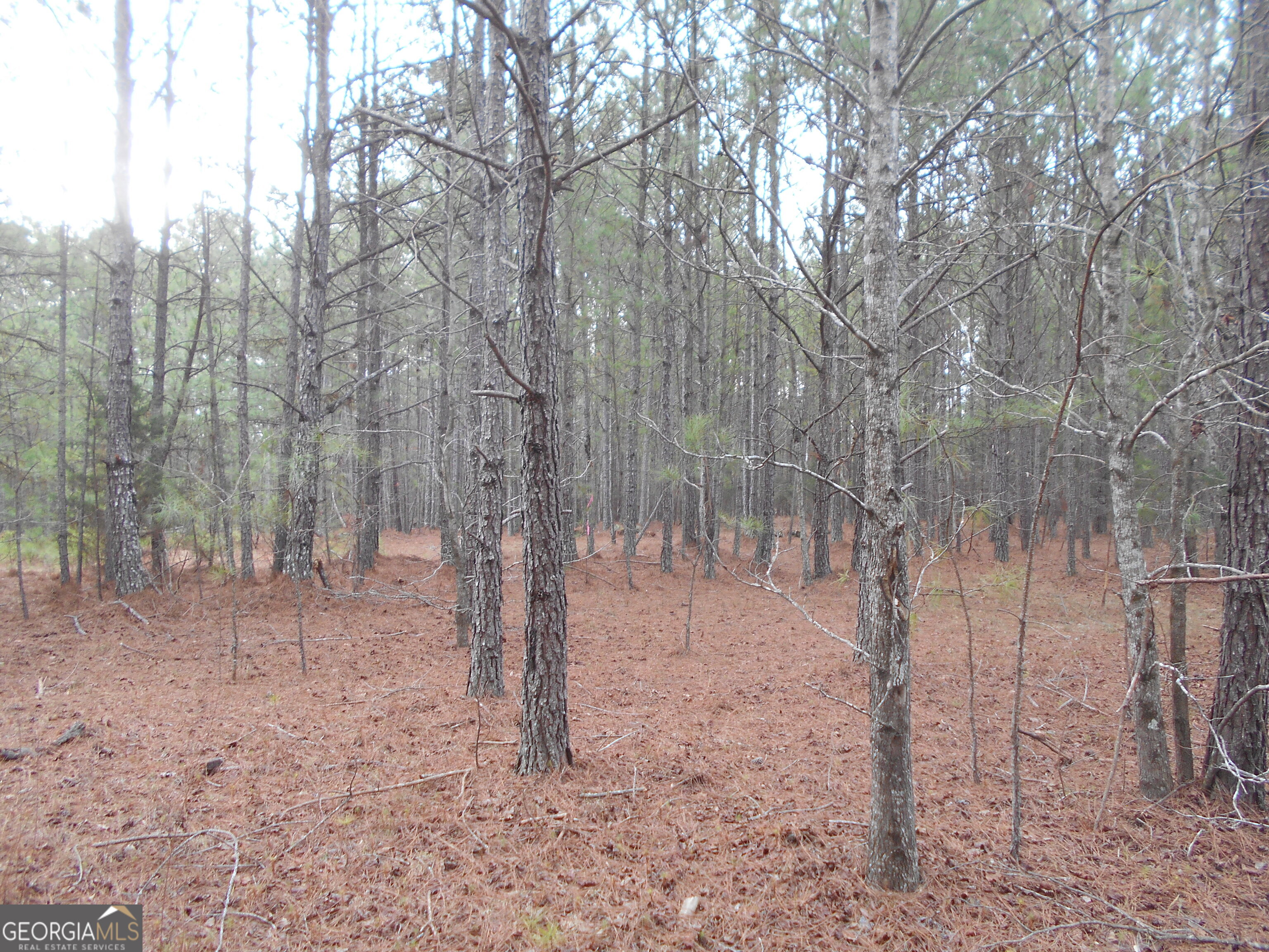 46 AC South Sharon Church Road