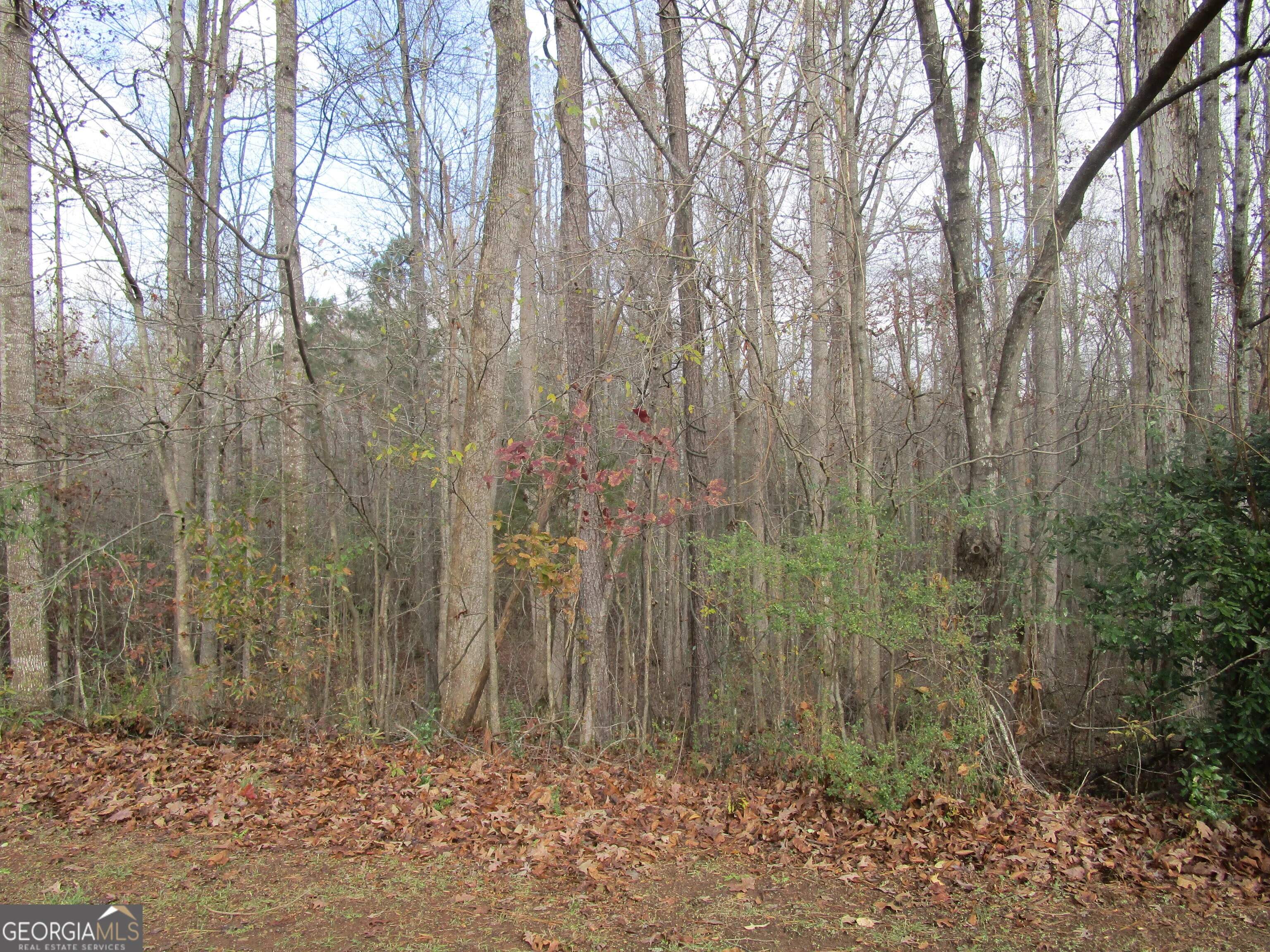 135 Four Oaks Drive