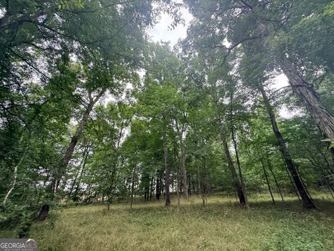 Photo of 1 Bethesda Church Road, Lexington, GA 30648 (MLS # 10785522)