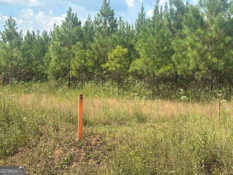 Photo of 0 Cook Road #TRACT 5, Monticello, GA 31064 (MLS # 10848924)