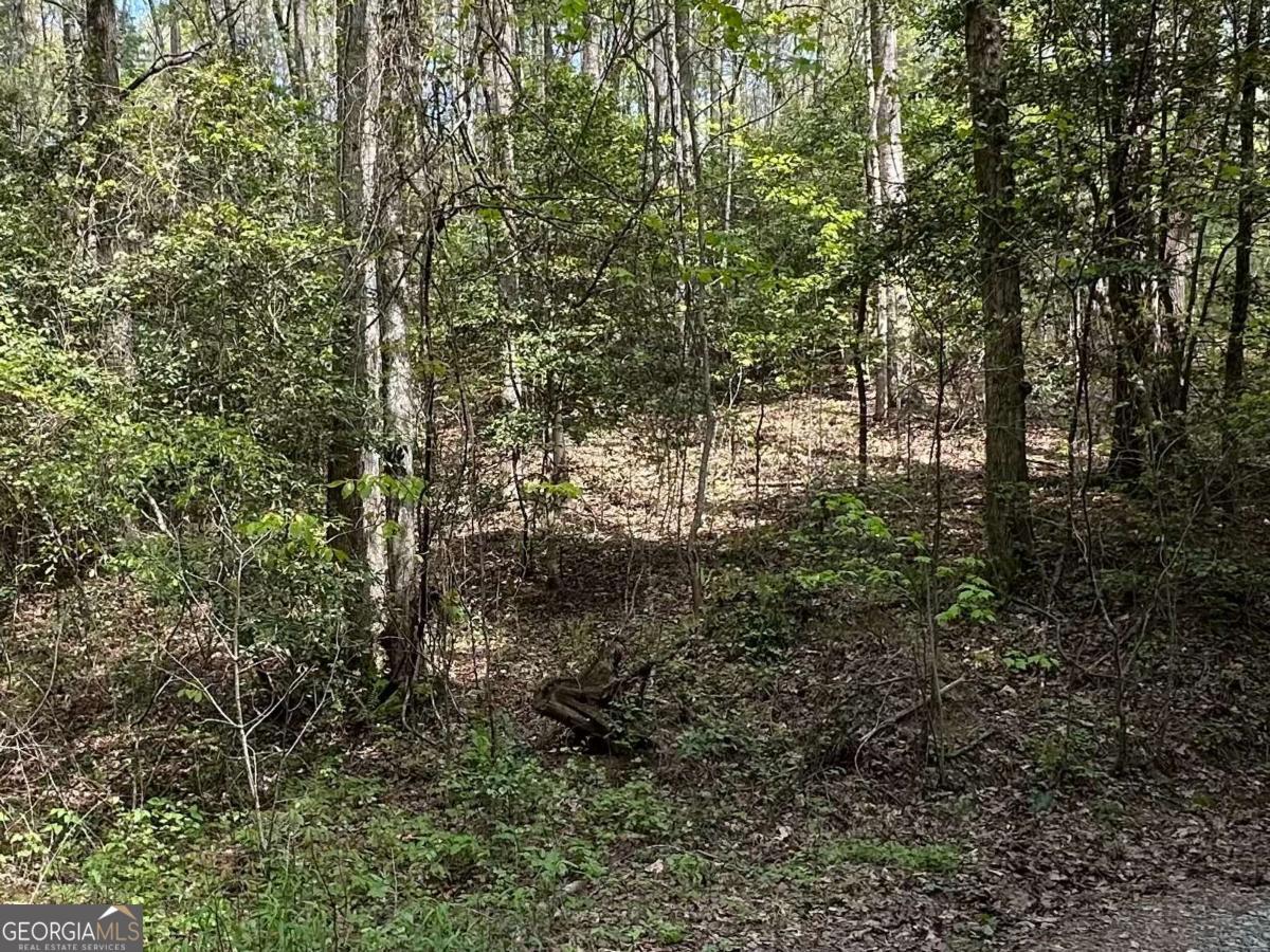 LOT 20 Big Ben RD 20