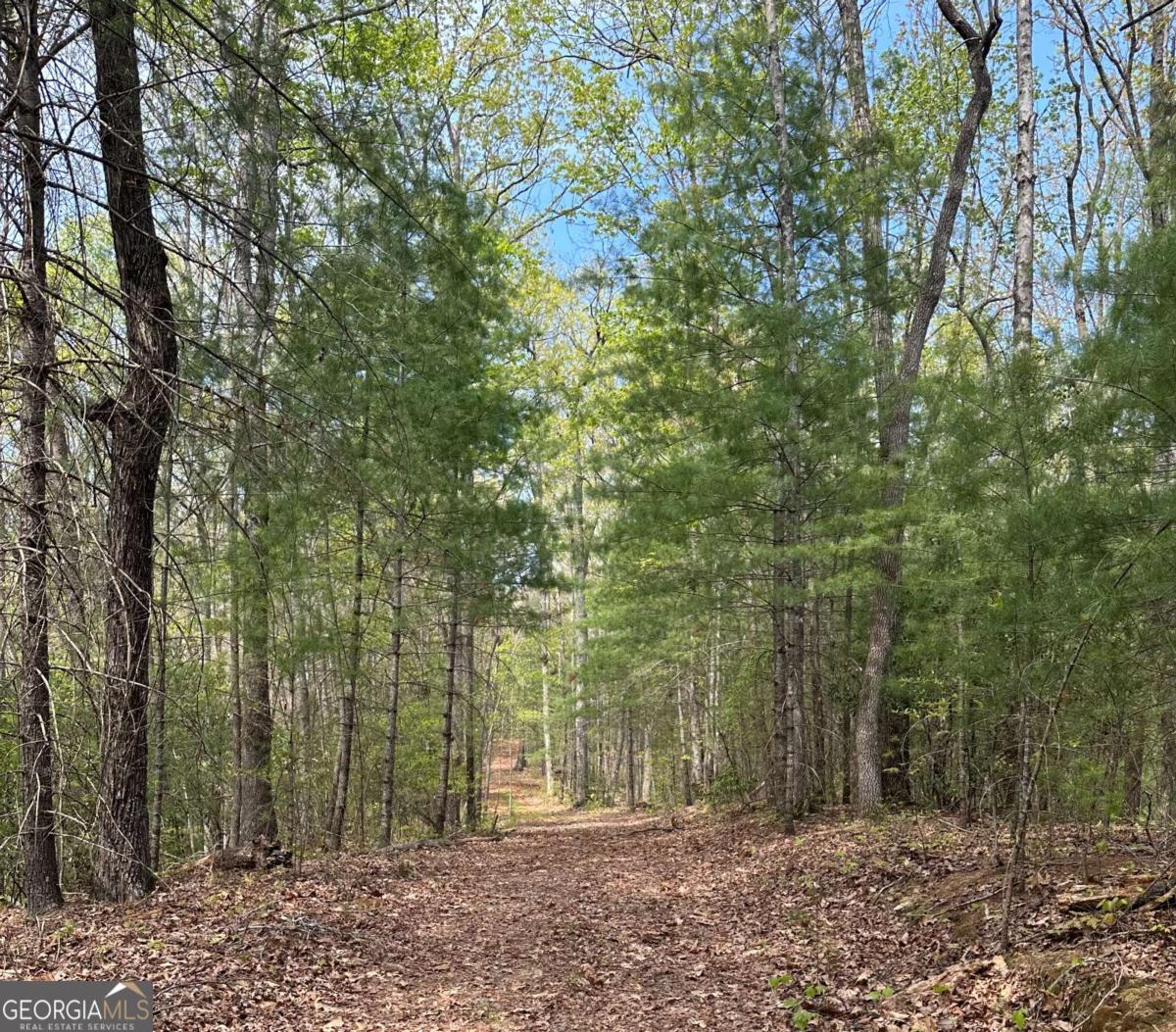 LOT 20 Big Ben RD 20