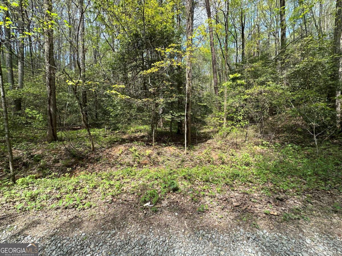 LOT 20 Big Ben RD 20
