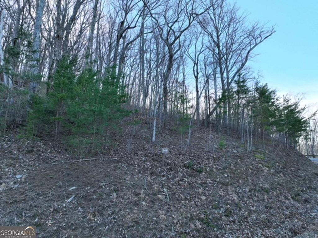 Photo of 249 Andes Ridge, Ellijay, GA 30536 (MLS # 10787203)