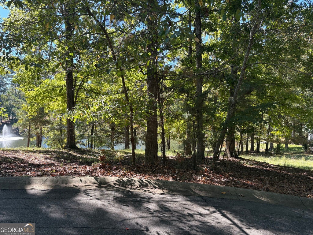 Photo of 1040 Mashie Drive, Greensboro, GA 30642 (MLS # 10871424)