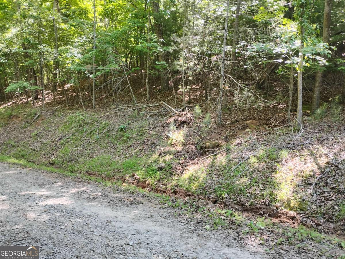 0 Gladstone CT 967, 968