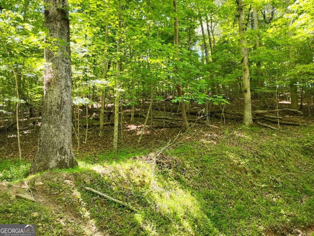 Photo of 0 Gladstone Court #967, 968, Ellijay, GA 30540 (MLS # 10764892)