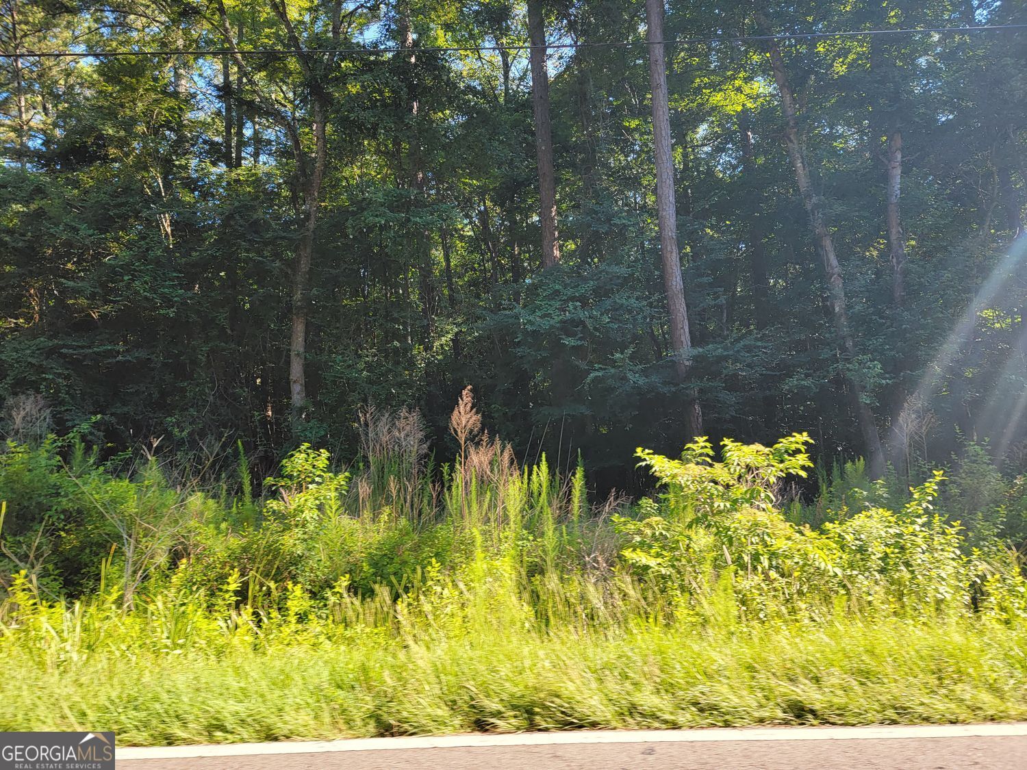 420 Panola Road