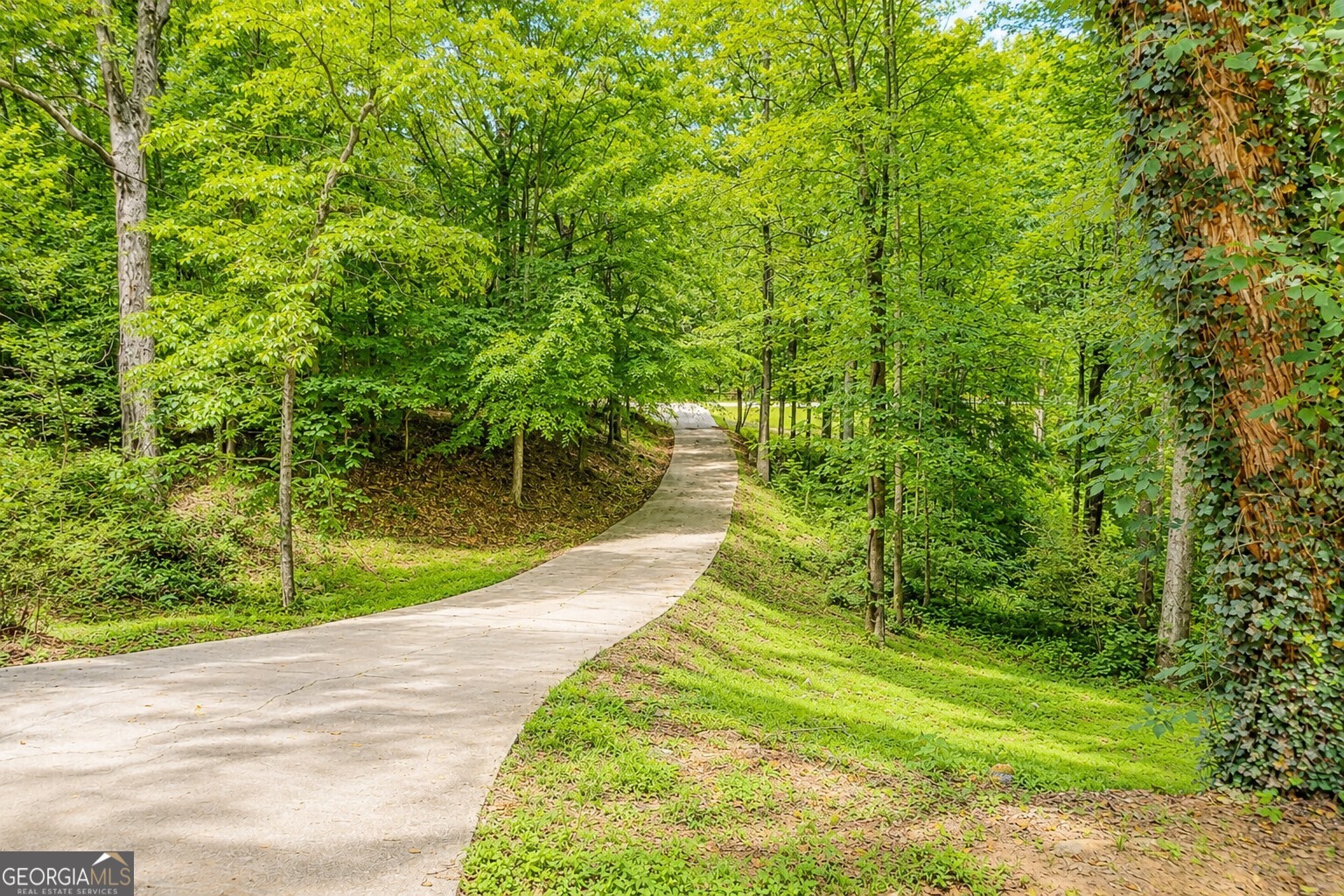 2033 Carson Segars RD