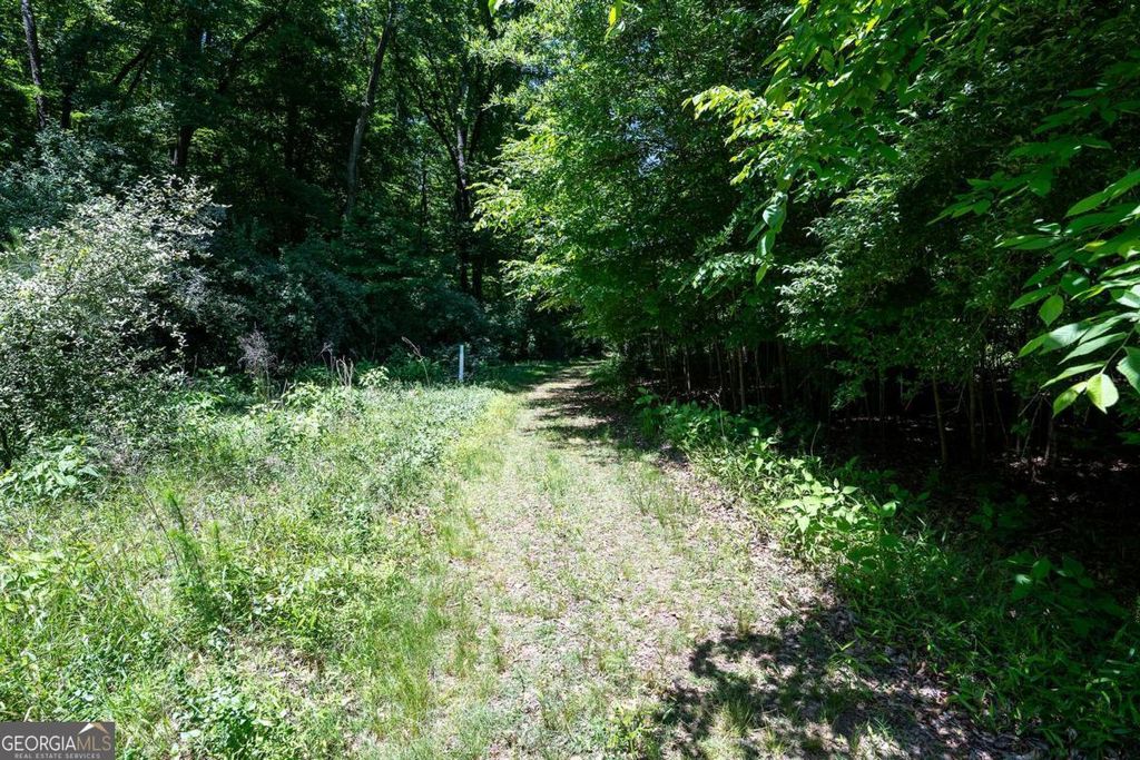 Photo of 18 River Shoals Drive, Athens, GA 30606 (MLS # 10765250)