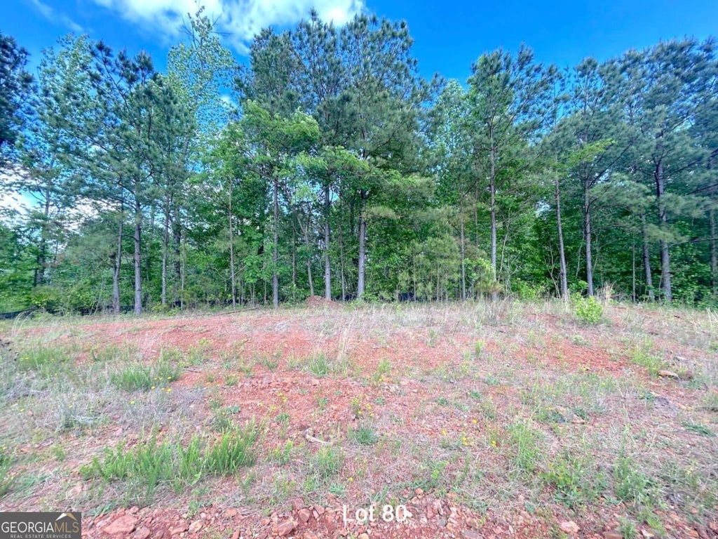 Photo of 172 Oakdale Way, Temple, GA 30179 (MLS # 10815764)