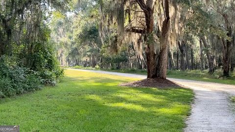 Photo of 0 Wood Stork Drive, Darien, GA 31305 (MLS # 10789223)