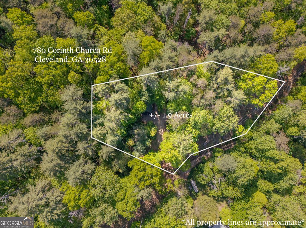 Photo of 780 Corinth Church Road, Cleveland, GA 30528 (MLS # 10742346)