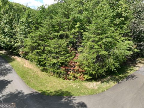123 Edinborough CT Ellijay GA 30536