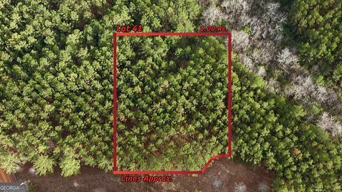 Photo of 0 County Road 78, Milan, GA 31060 (MLS # 10714501)