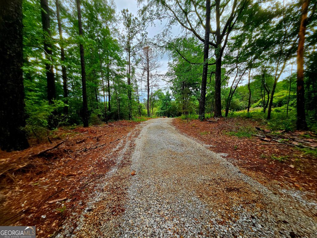 Photo of 0 School House Hill Road, Franklin, GA 30217 (MLS # 10759956)