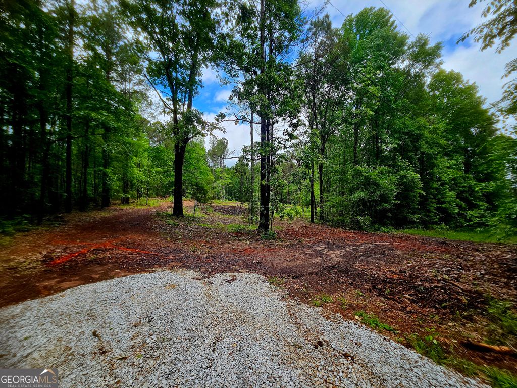 Photo of 0 School House Hill Road, Franklin, GA 30217 (MLS # 10759956)