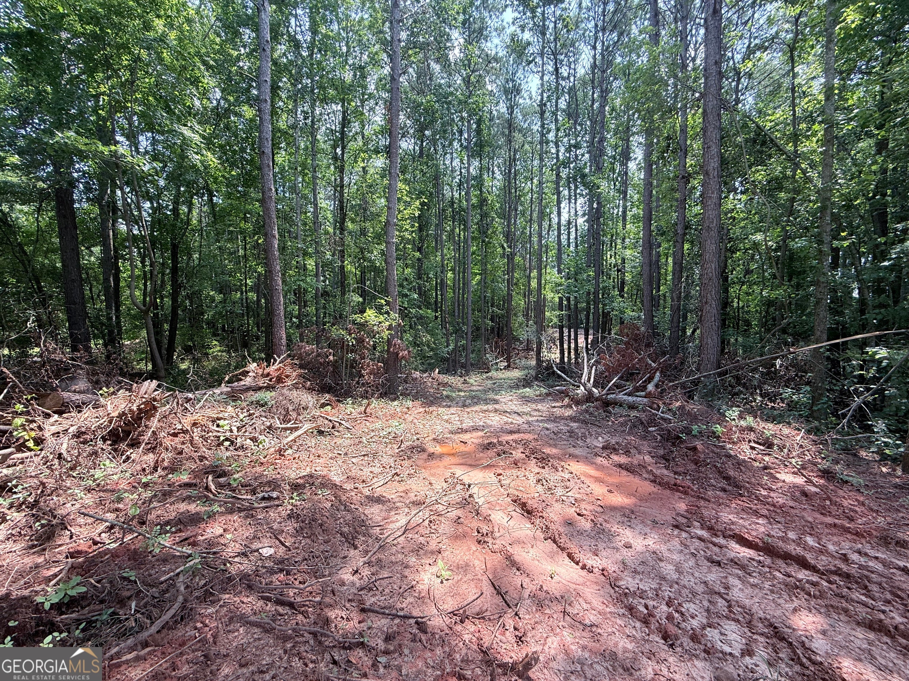 6887 Mt Zion RD