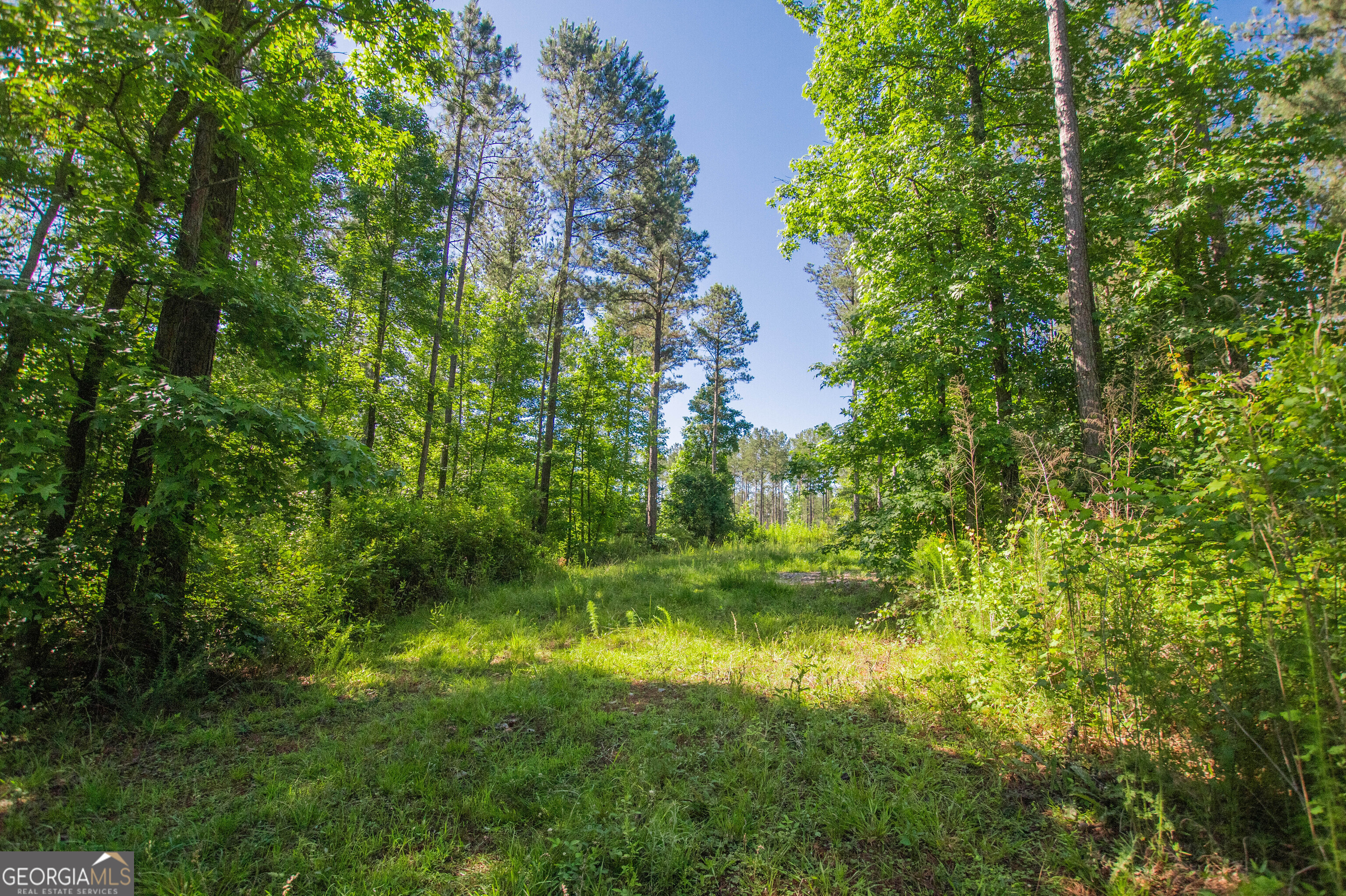 0 Weaver Jones RD