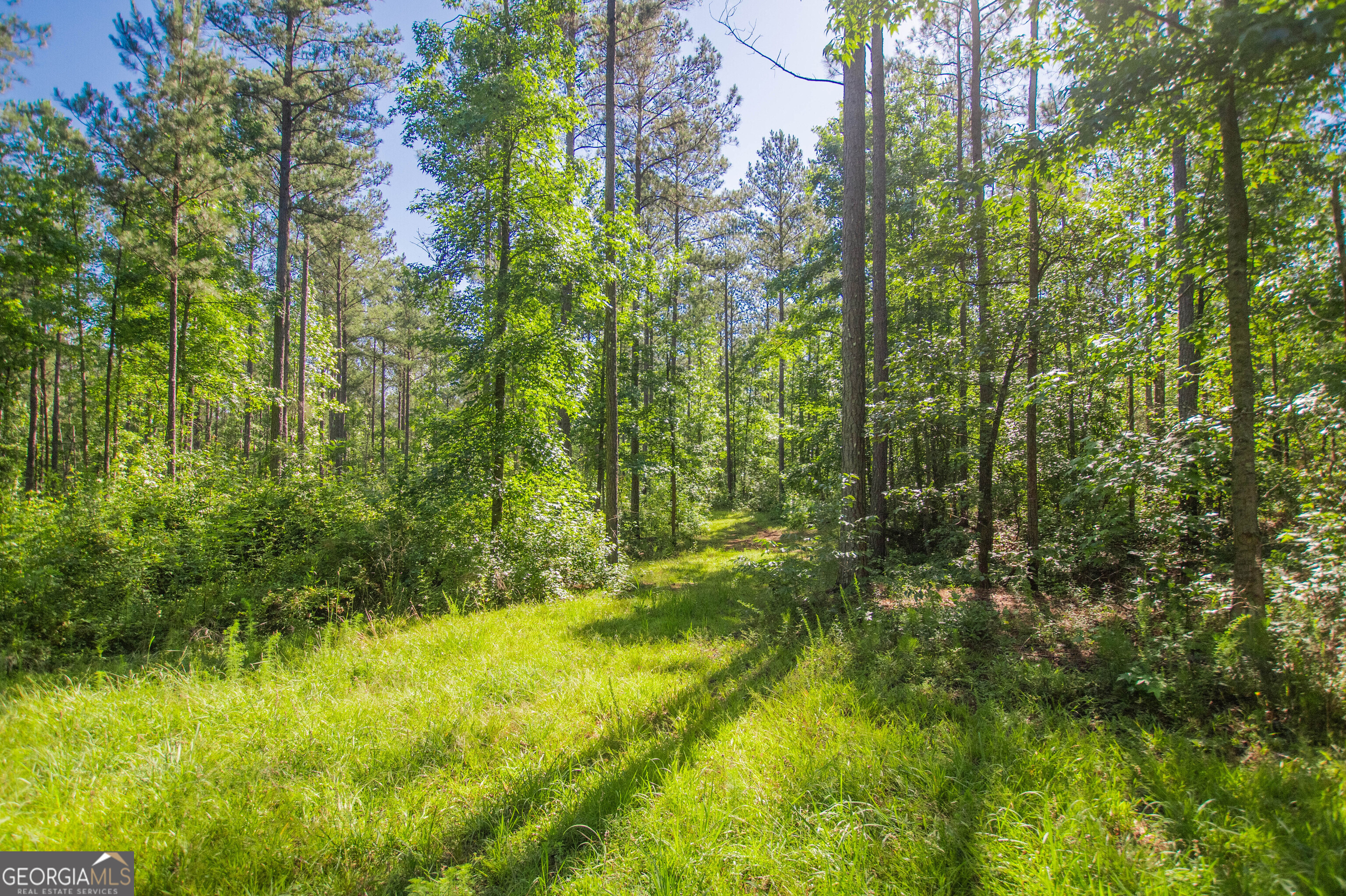 0 Weaver Jones RD