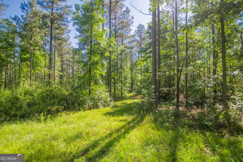 Photo of 0 Weaver Jones Road, Rutledge, GA 30663 (MLS # 10780106)