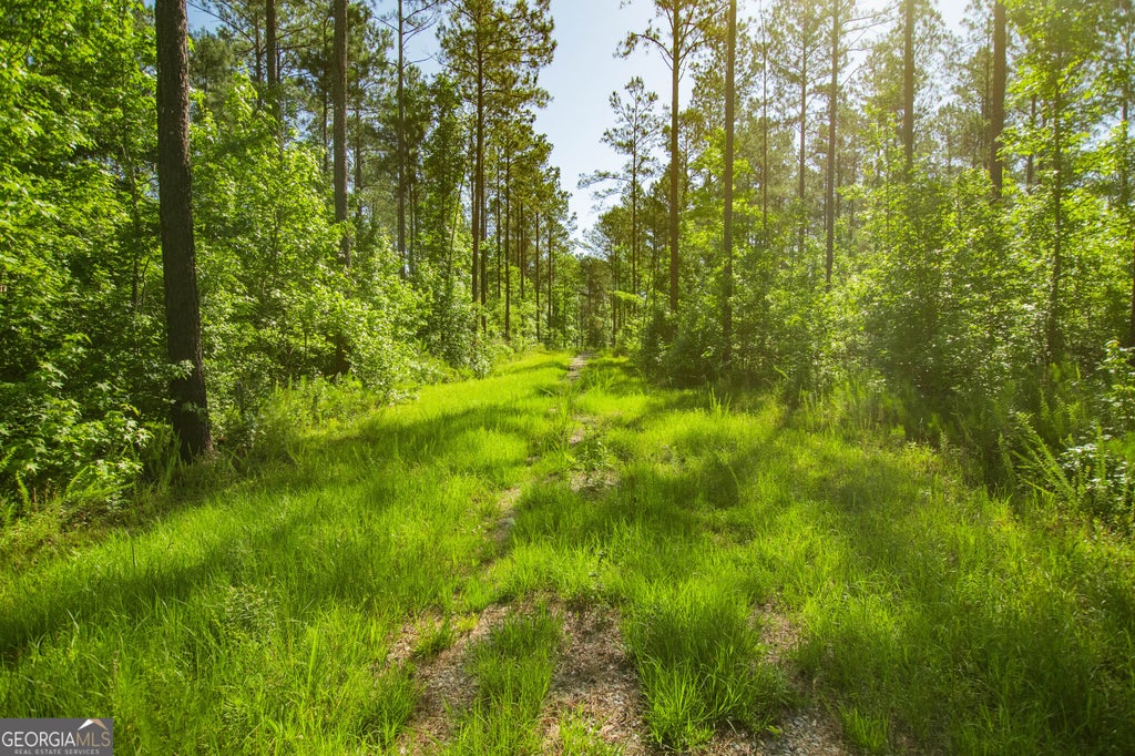 Photo of 0 Weaver Jones Road, Rutledge, GA 30663 (MLS # 10780106)