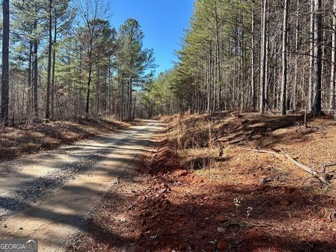 1107 Larmon Forks RD Dahlonega GA 30533