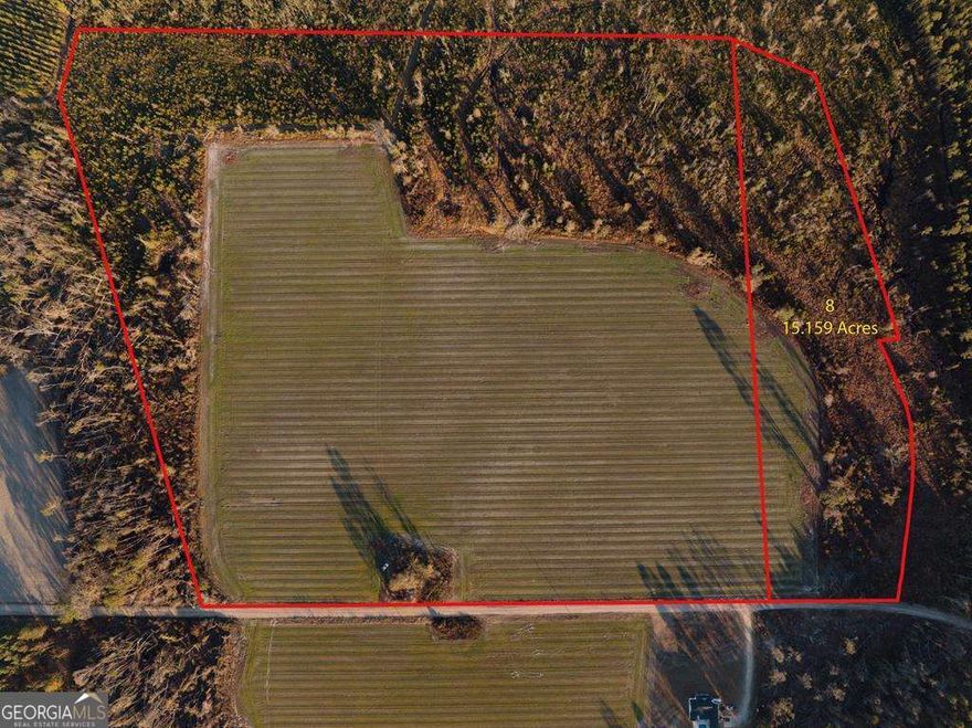 Discover this beautiful 15.15-acre tract, ready for you to build your dream home! Once thriving farmland, this peaceful property offers endless potential on a quiet dirt road, just 5 miles from a main highway and 15 minutes from the heart of Alma, GA. Escape to the country and make it yours today!