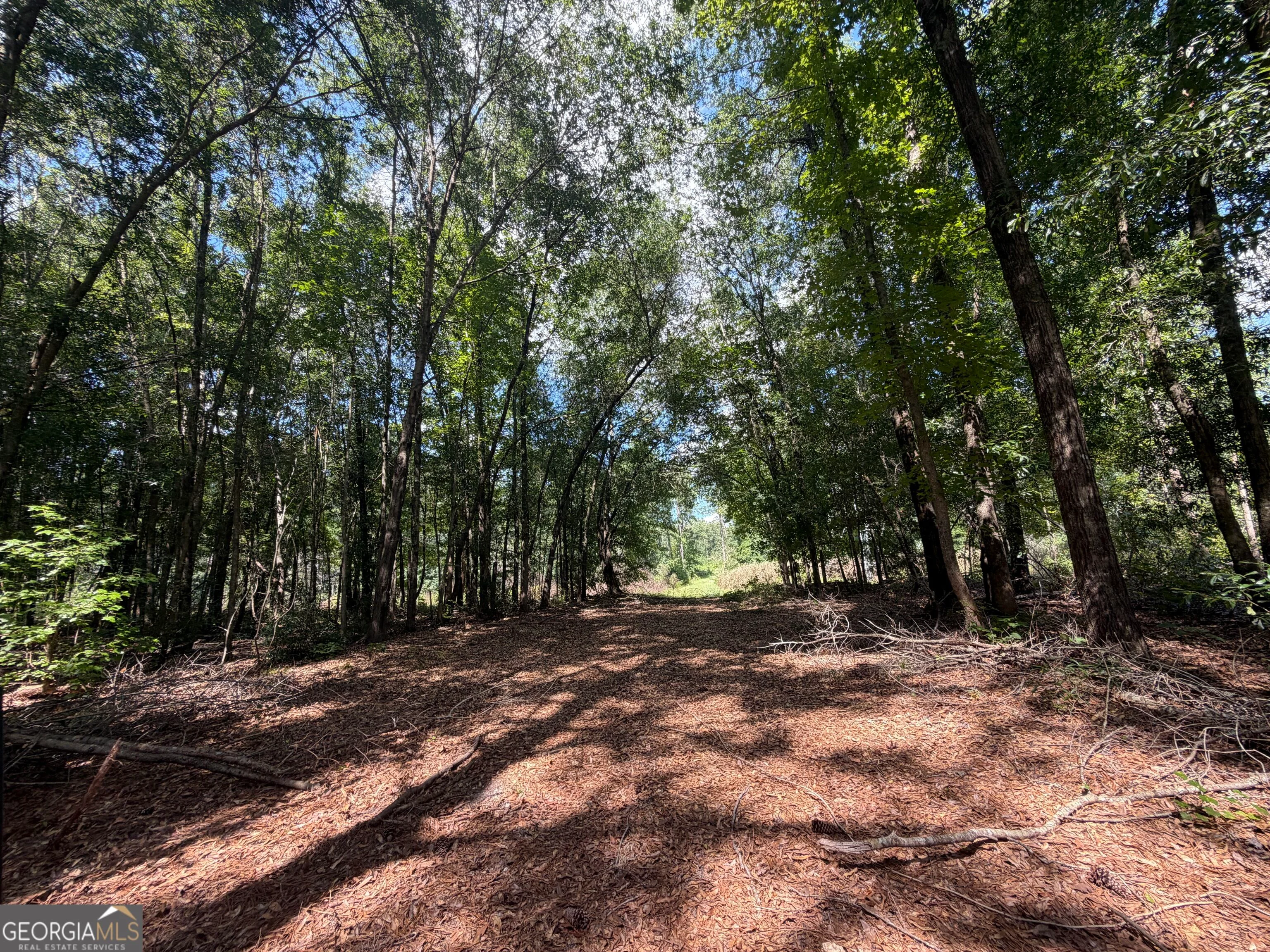 10 Sunhill Grange Road, Davisboro, GA, 31018