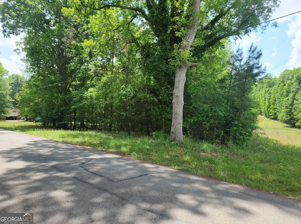Photo of 1241 Old Siloam Road, Union Point, GA 30669 (MLS # 10775565)