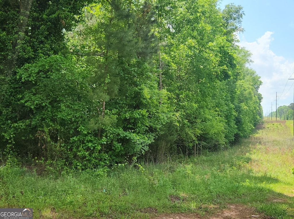 Photo of 1241 Old Siloam Road, Union Point, GA 30669 (MLS # 10775565)