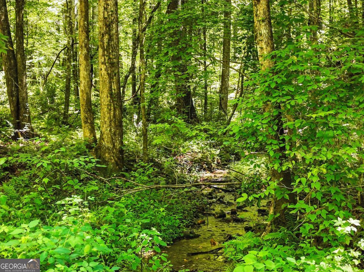245+/-AC Gates Chapel RD