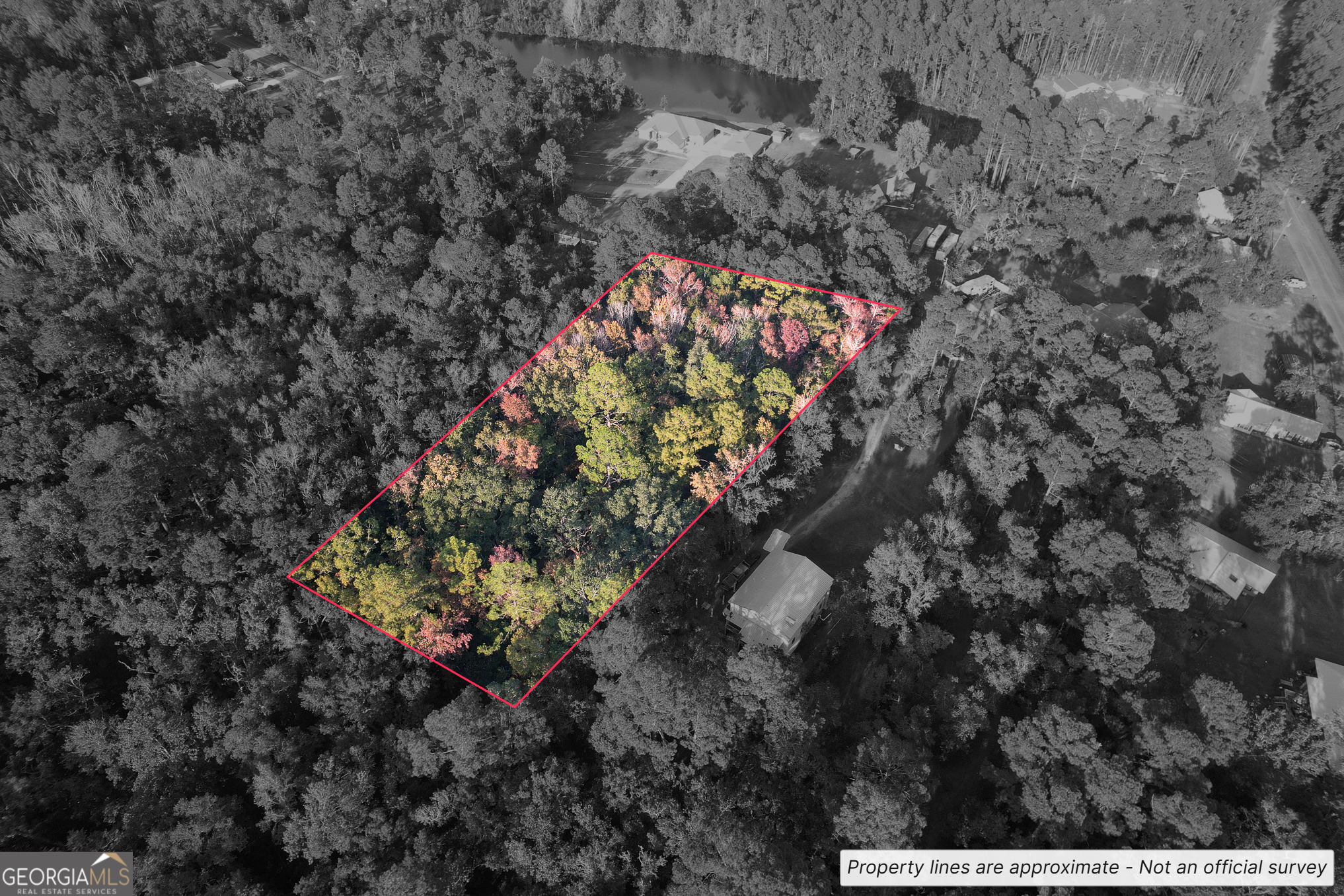 VL/45 PINE DRIVE Pine Drive