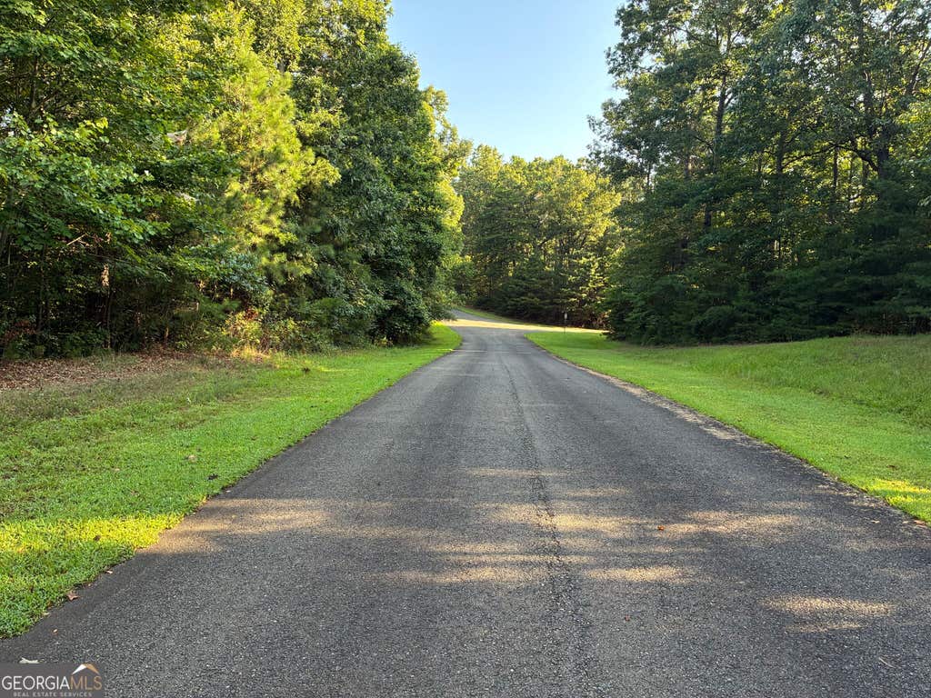 Photo of 0 Town Creek Road, Ellijay, GA 30175 (MLS # 10828353)