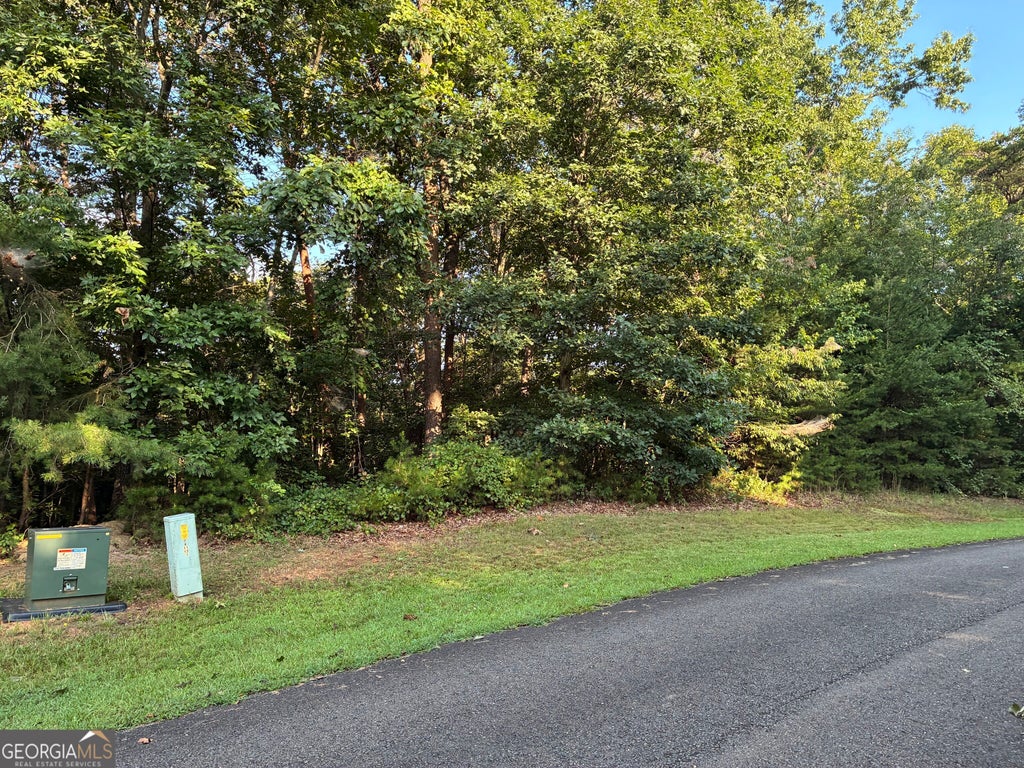 Photo of 0 Town Creek Road, Ellijay, GA 30175 (MLS # 10828353)