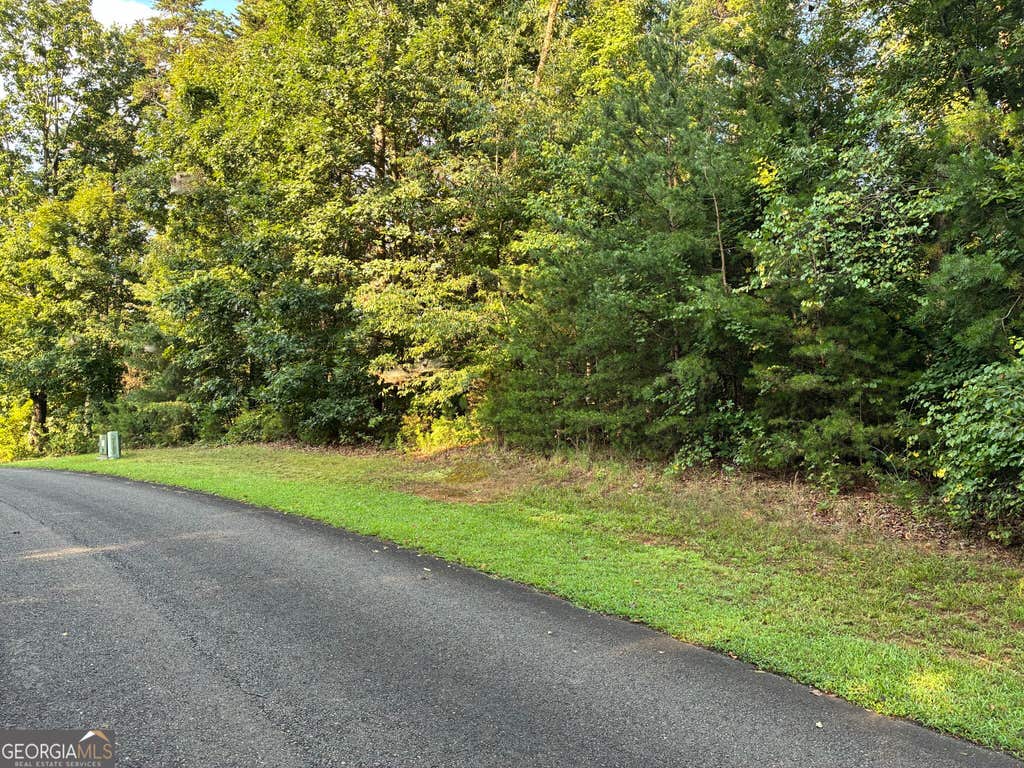 Photo of 0 Town Creek Road, Ellijay, GA 30175 (MLS # 10828353)