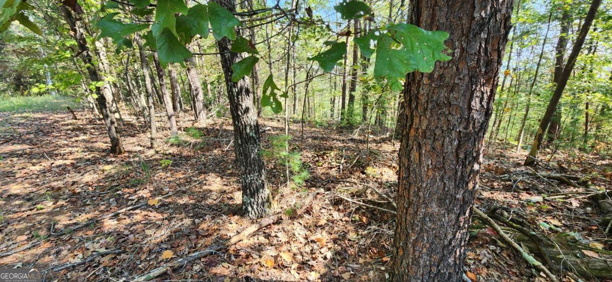 LOT 1699 Shade Tree DR