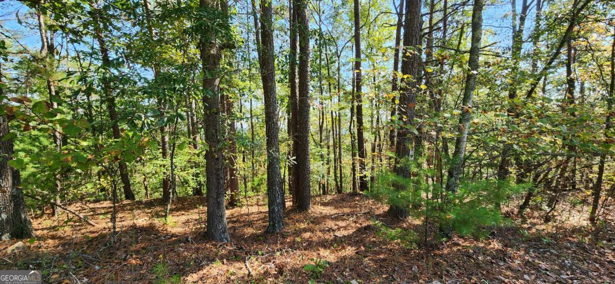 LOT 1699 Shade Tree DR