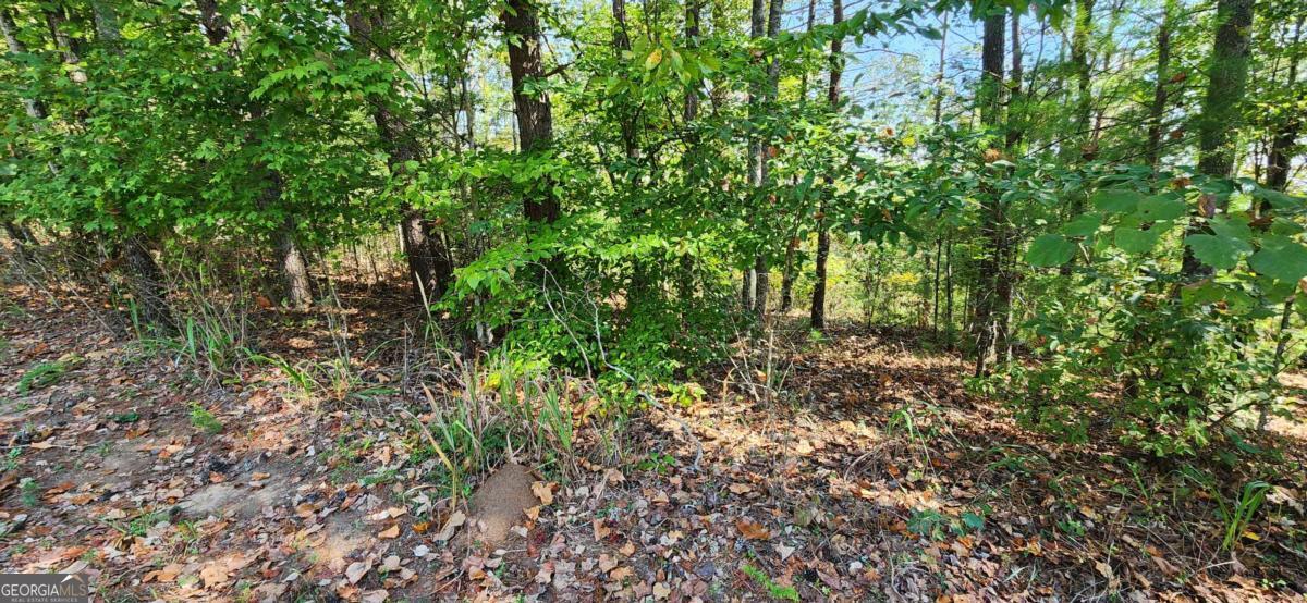 LOT 1699 Shade Tree DR