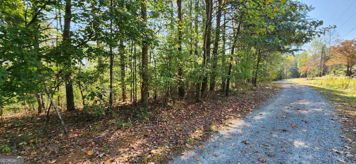 LOT 1699 Shade Tree DR