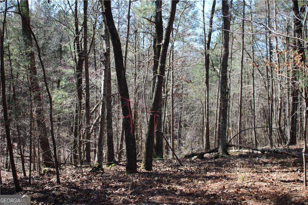 This gorgeous cul de sac lot boasts 3.56 acres of private residential land. Complete with septic tank, water, and power...just bring your building plans and dig in!