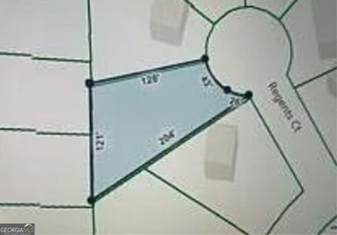 11005 Regents CT Hampton GA 30228