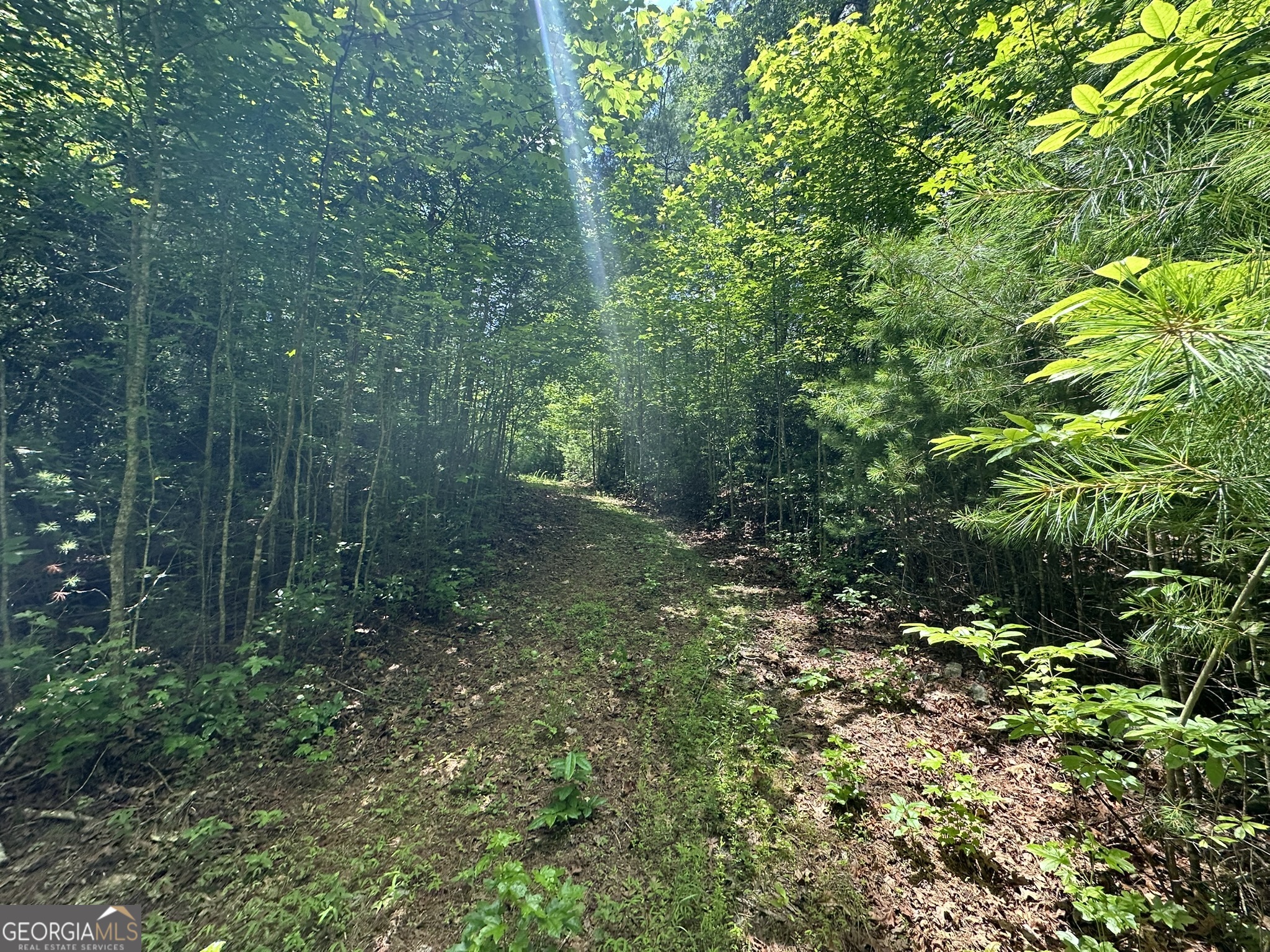 0 Camp Wahsega RD