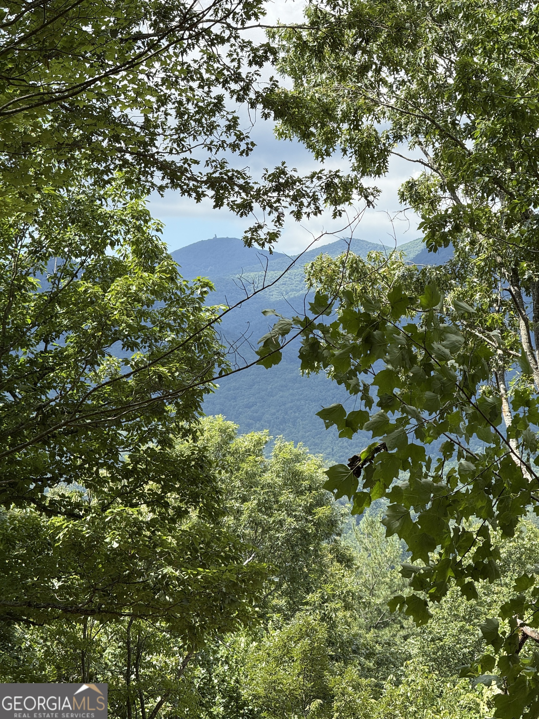 LOT 16 Whiskey Mountain Estates