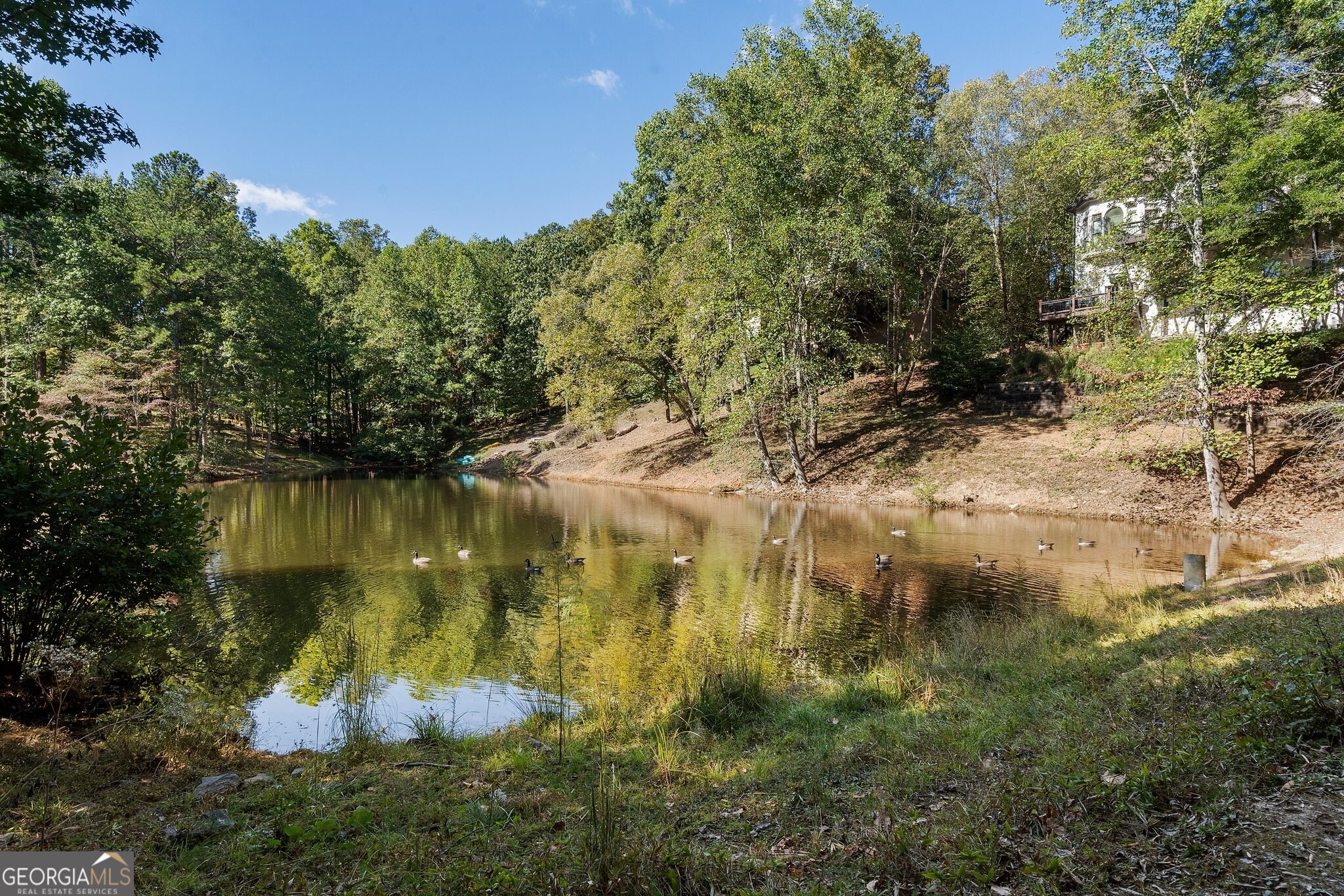 Nesbit Lakes - Residential