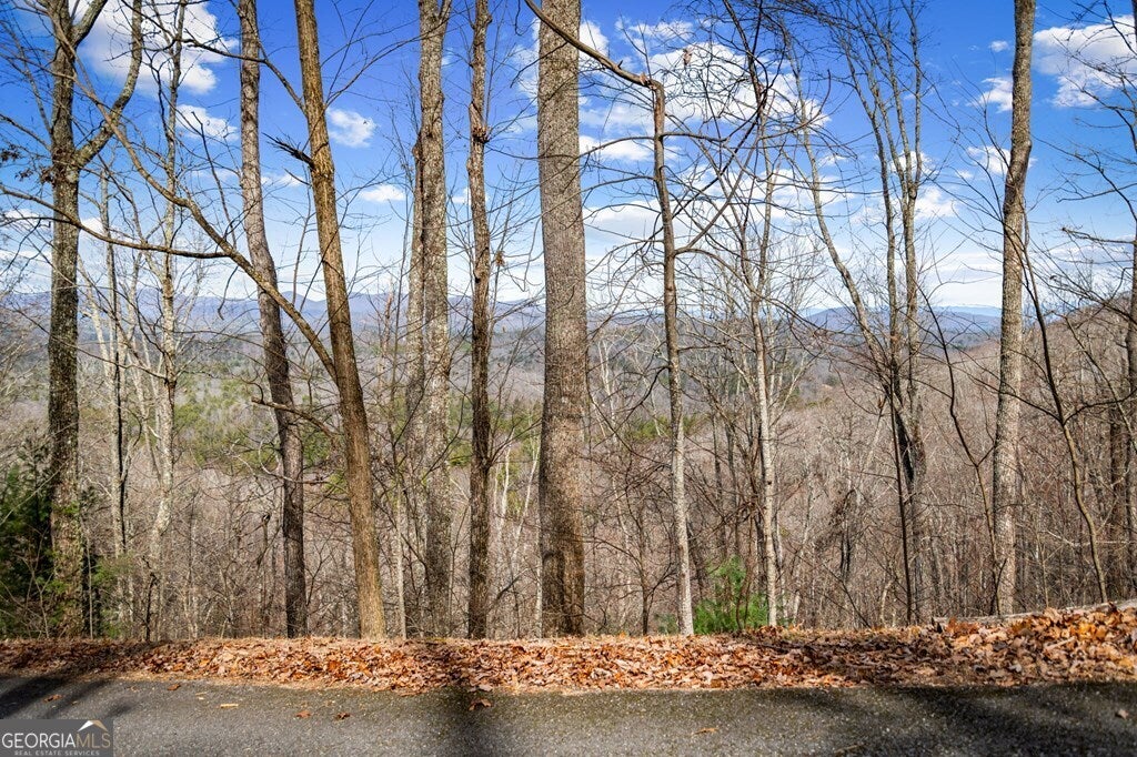 LOT 20 Raven Ridge CIR