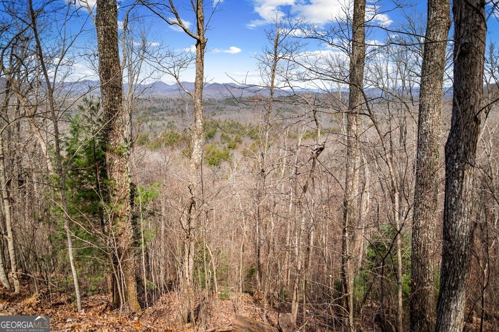 LOT 20 Raven Ridge CIR