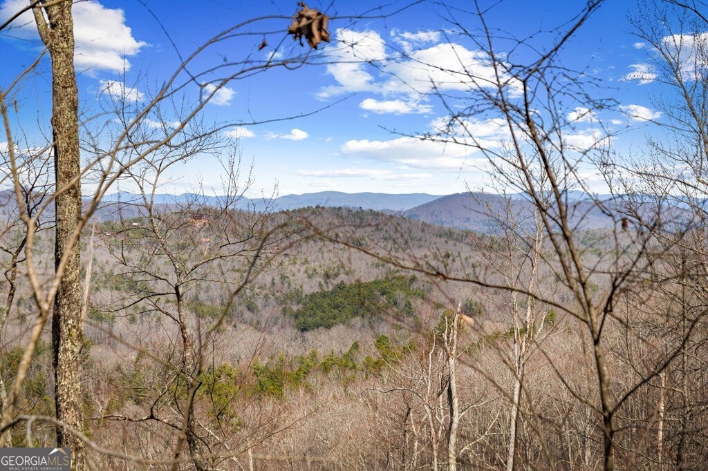 LOT 20 Raven Ridge CIR