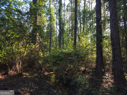 Photo of 0 Walden Way, Adrian, GA 31002 (MLS # 10601502)